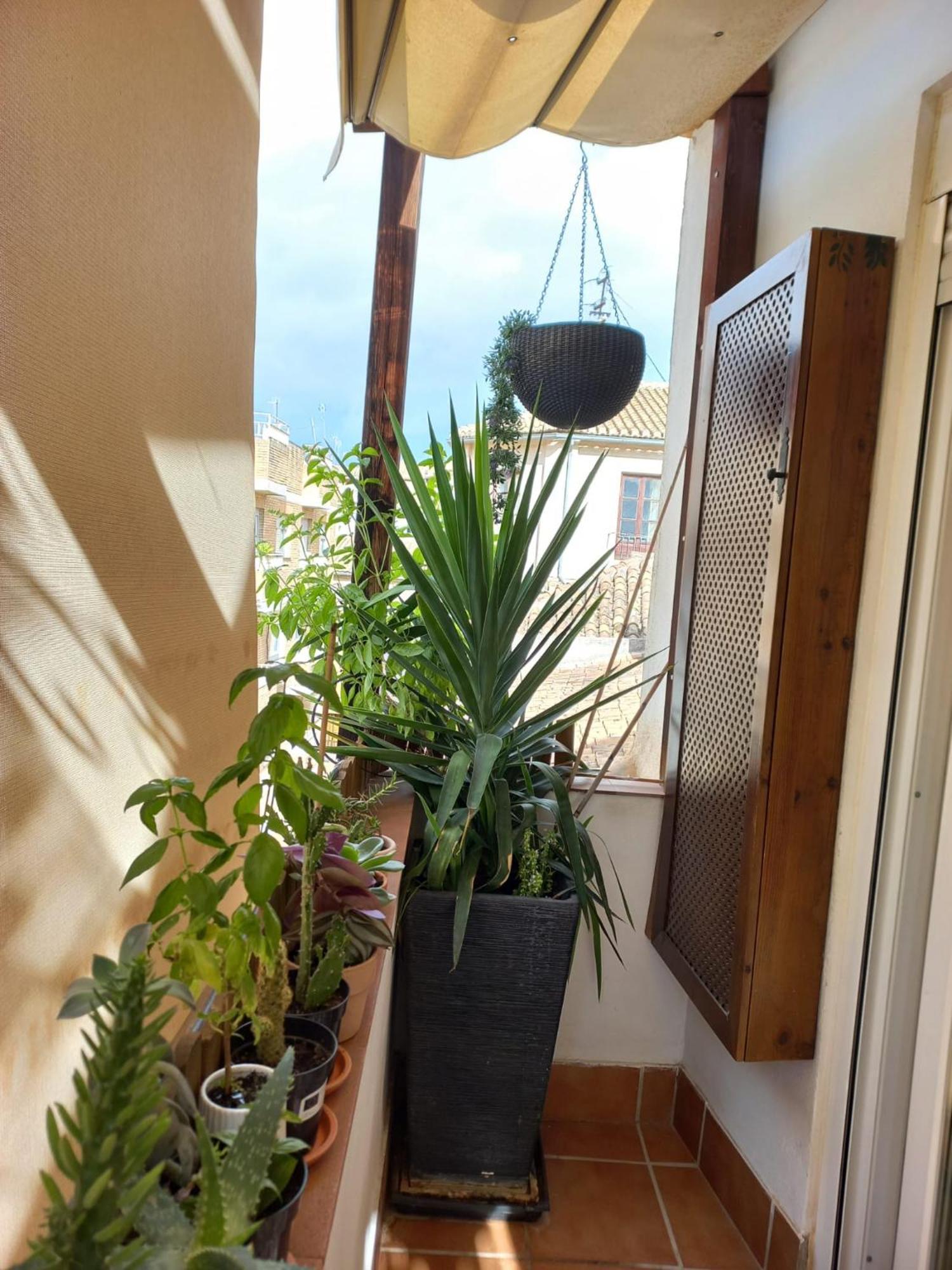 Atico Exclusivo En El Centro De Granada 아파트 외부 사진